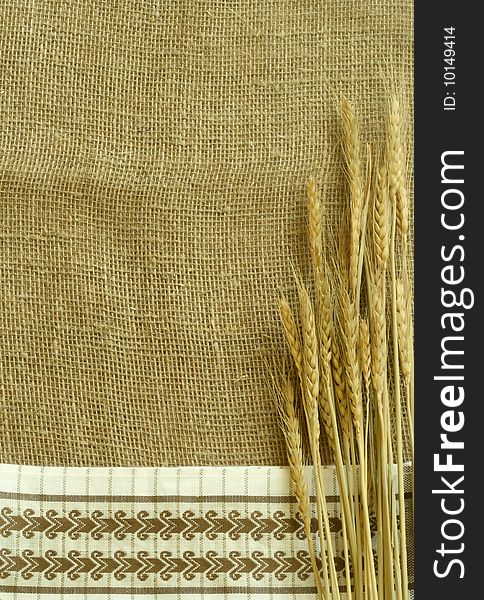 Wheat ears on sacking and kitchen towel