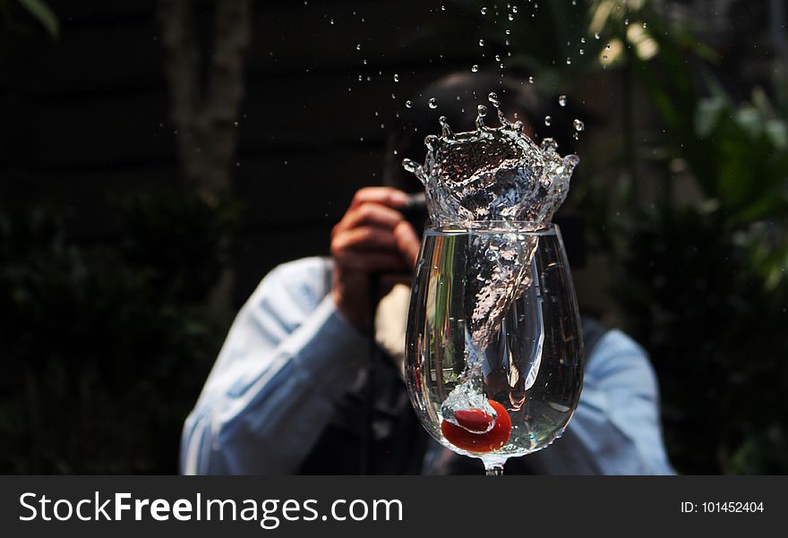 Water, Tree, Stemware, Wine Glass