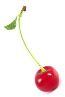 Cherry Isolated Stock Photo Cherry Isolated Stock Photo