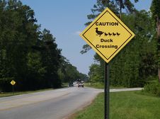 Yellow Diamond Caution Duck Crossing Sign Beside A Stock Image