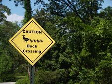 Yellow Diamond Caution Duck Crossing Sign Beside A Royalty Free Stock Image