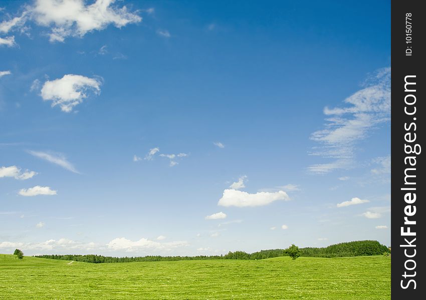 Landscape photo: field in sunny day