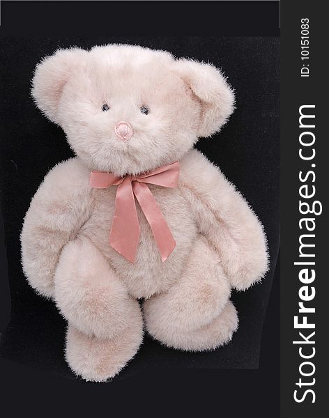 Childs Stuffed Bear