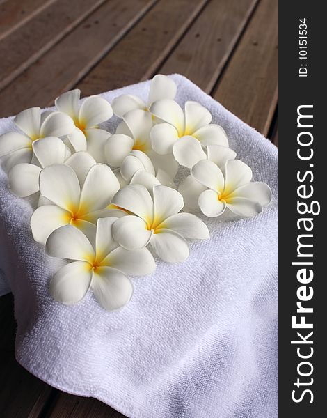 Fragrant Frangipani flowers against soft white towel. Fragrant Frangipani flowers against soft white towel.