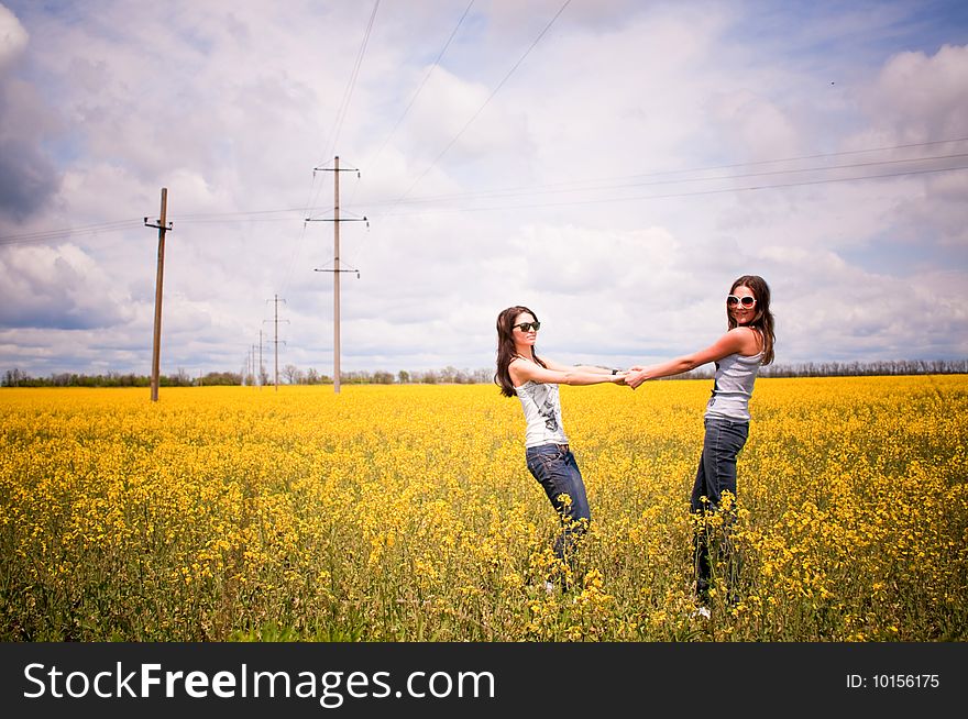 Attractive young girls are playing in the field of flowers. Attractive young girls are playing in the field of flowers