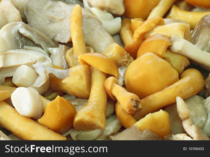 Variety mushrooms ready to be cooked