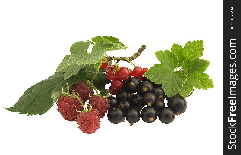 Raspberries and currant with green leaves isolated on white