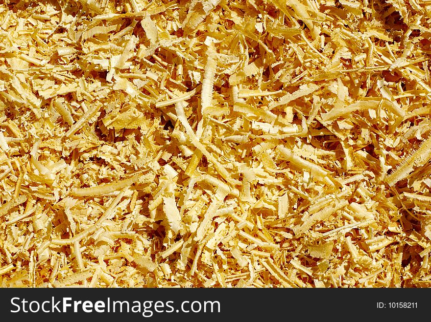 Texture of yellow wooden chips background. Texture of yellow wooden chips background