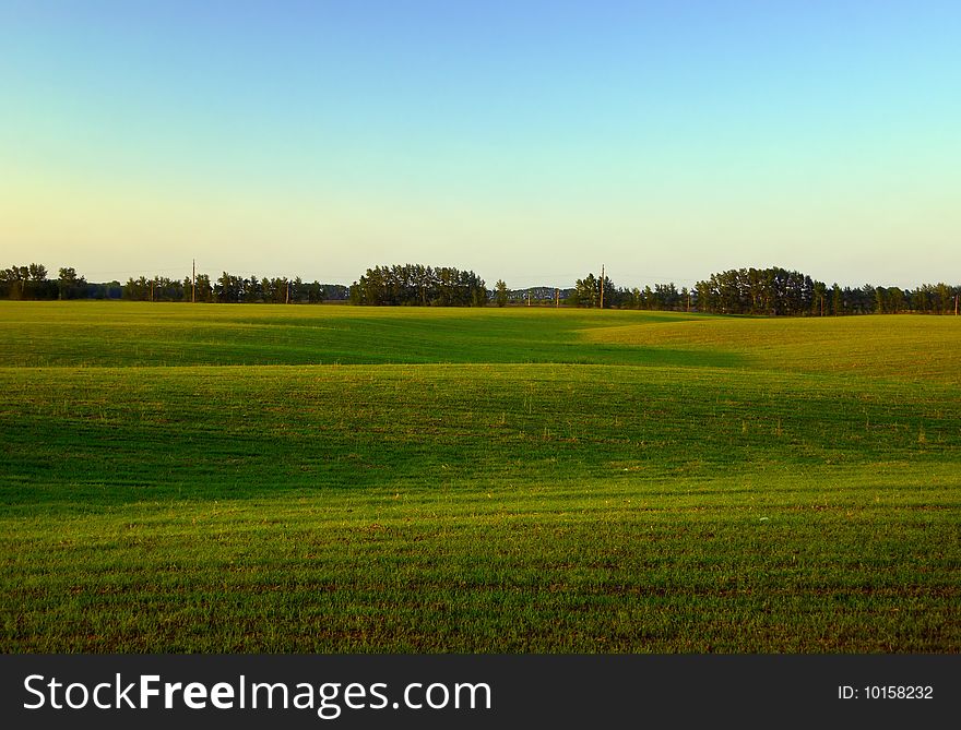 Background - Relief Cultivated Lawn At The Evening