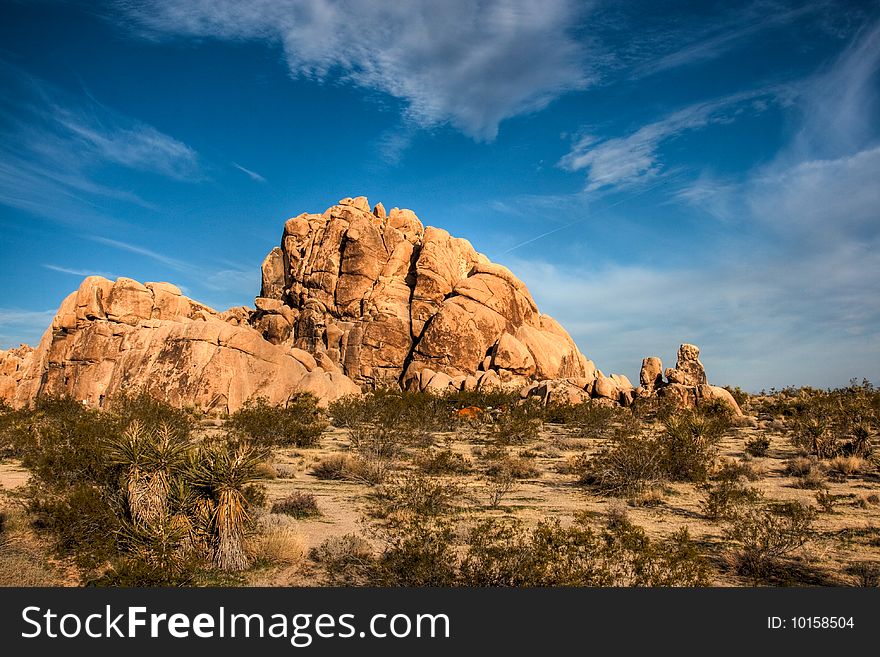 A rock climbers dream at Joshua Tree National Park.