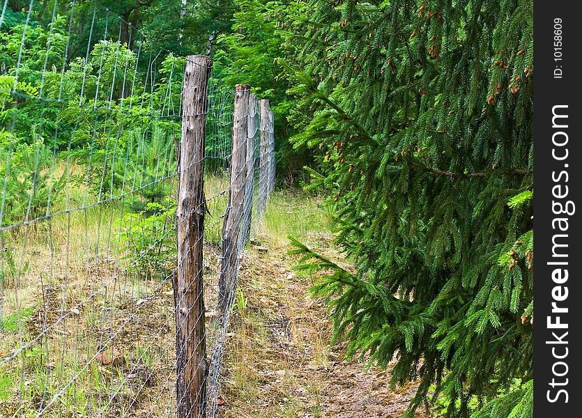 Fence in wood for protection of animals