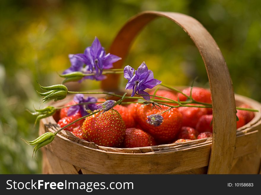 Basket Of The Strawberries