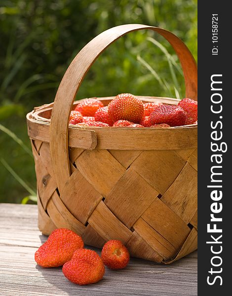 Herb basket strawberries of the berry. Herb basket strawberries of the berry