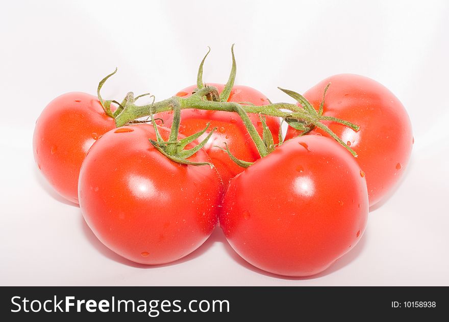 Five tomatoes on green branch