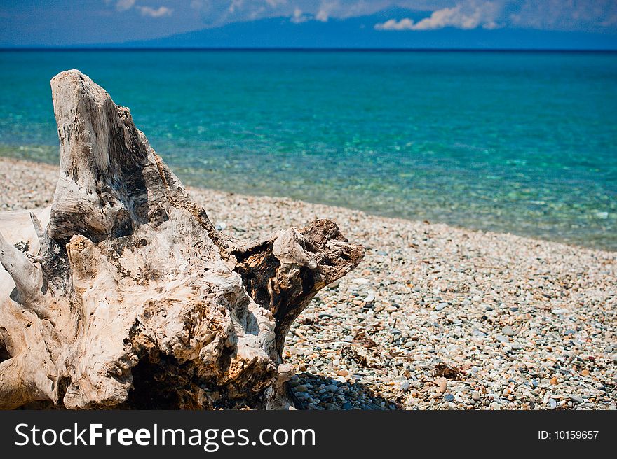 Old stump on pebbles beach. Greece, Kassandra, Chalkidike. Old stump on pebbles beach. Greece, Kassandra, Chalkidike.