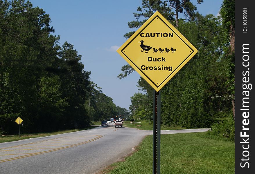 Yellow diamond caution duck crossing sign beside a road.