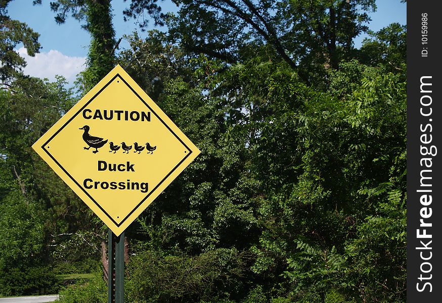 Yellow diamond caution duck crossing sign beside a road.