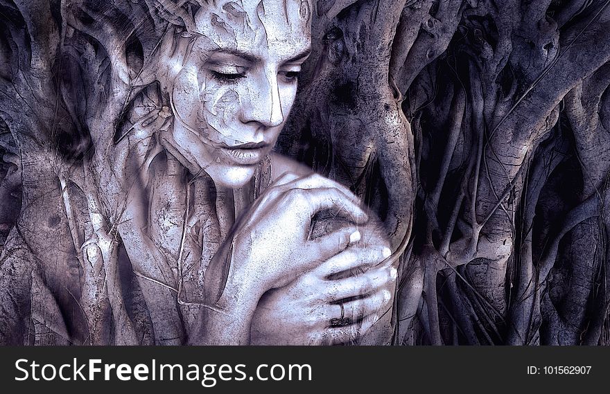 Sculpture, Tree, Human, Darkness