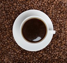 Cup Of Coffee Sitting In A Bed Of Coffee Beans Royalty Free Stock Image Cup Of Coffee Sitting In A Bed Of Coffee Beans Royalty Free Stock Image