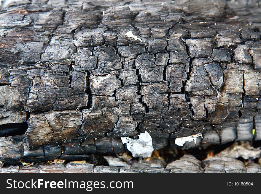 A closeup of a scorched firewood with cracks and ash showing. A closeup of a scorched firewood with cracks and ash showing