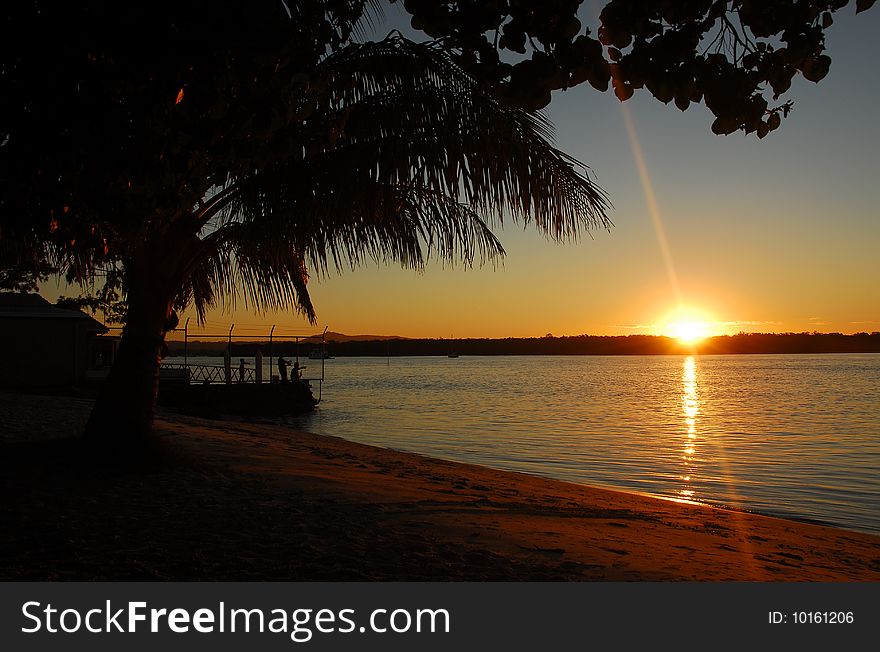 Sun setting over the water with palm tree silhouetted in the foreground. Sun setting over the water with palm tree silhouetted in the foreground