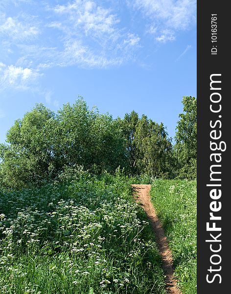 Footpath on green hill in summer day