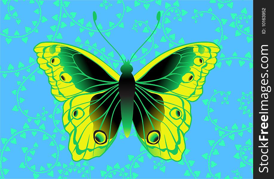 Vector Illustration of detailed Brightly coloured butterfly on the funky blue background.