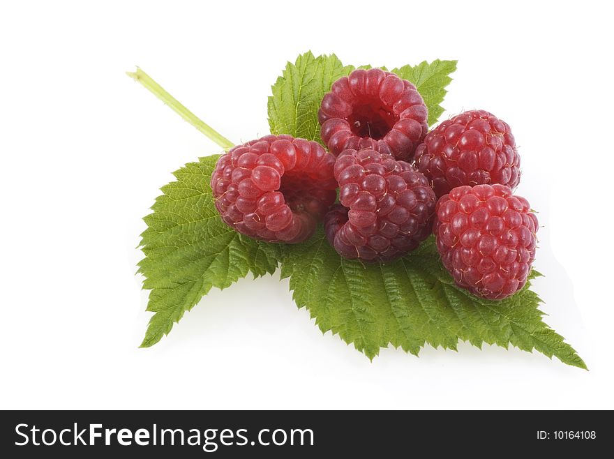 Five raspberries on a leaf, isolated on white. Five raspberries on a leaf, isolated on white.