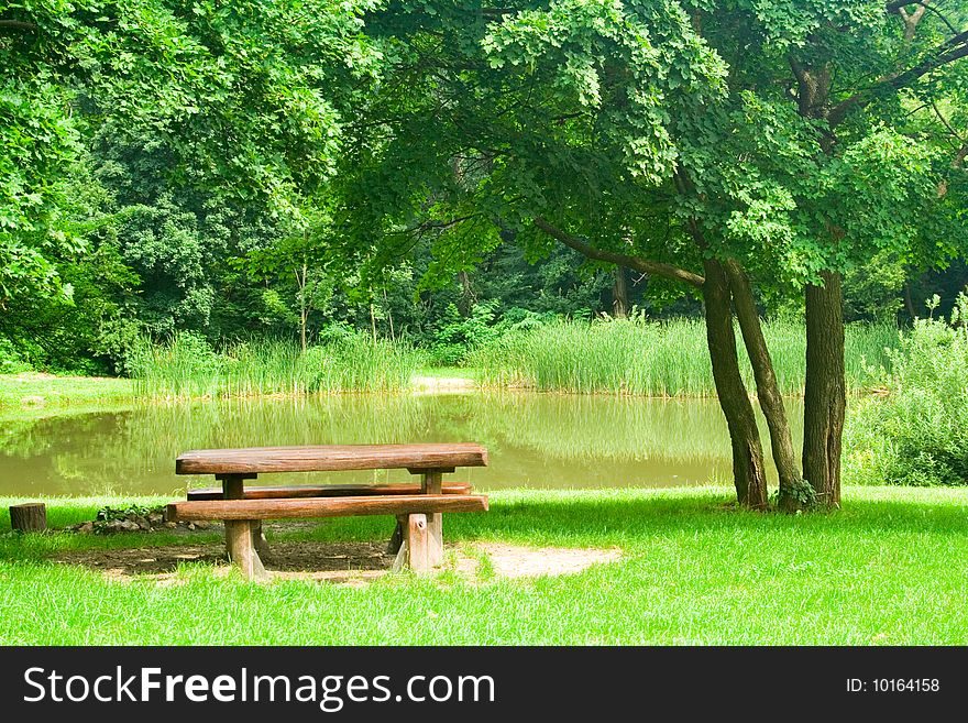 Bench on the bank of a small lake