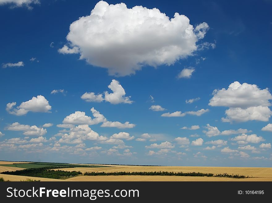 Idyllic summer landscape, large cumuli on dark blue sky and yellow wheat fields