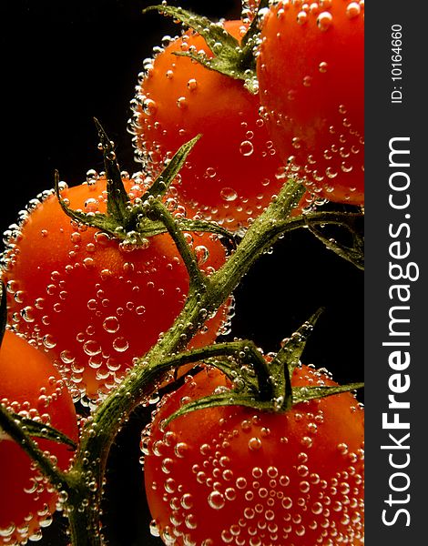 Tomato   with bubbles on black background
