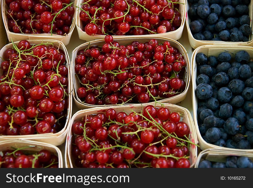 Red currants and blueberries in containers. Red currants and blueberries in containers