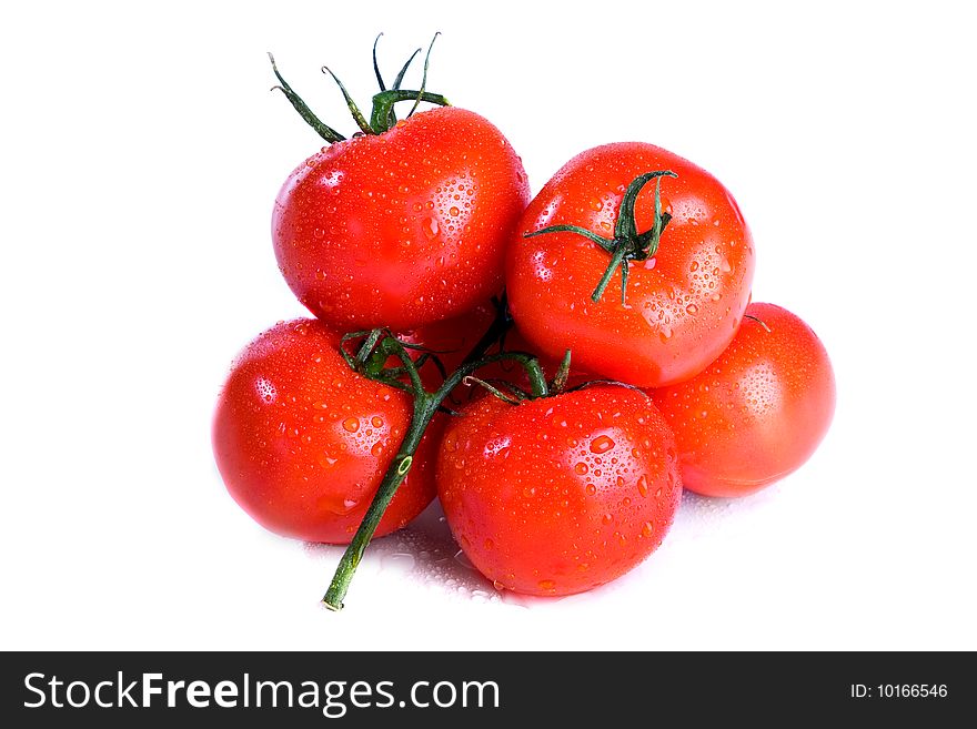 Branch of tomato isolated over white background