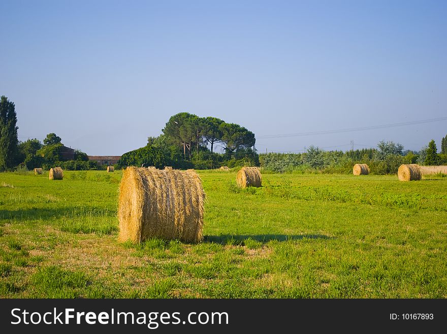 Large roll of straw, on a green lawn in the open countryside. Large roll of straw, on a green lawn in the open countryside