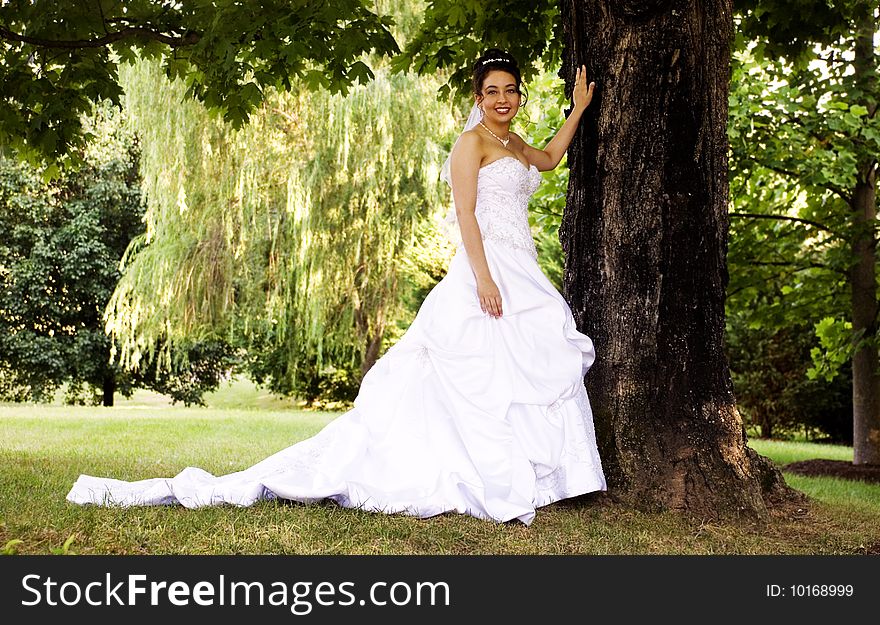 A beautiful bride, standing by large tree, horizontal with copy space. A beautiful bride, standing by large tree, horizontal with copy space