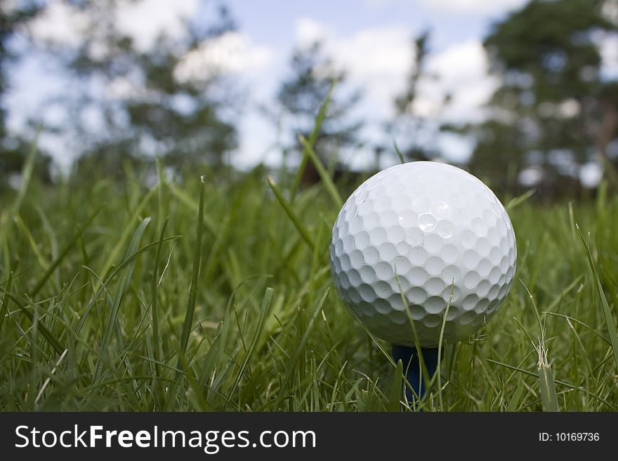 A golfball on a green lawn ready to be shot. A golfball on a green lawn ready to be shot