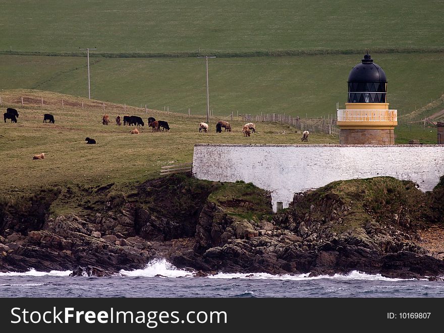 Landscape in Scotland, lighthouse with sheep