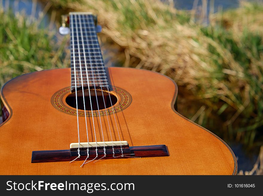 Musical Instrument, Guitar, String Instrument Accessory, Plucked String Instruments