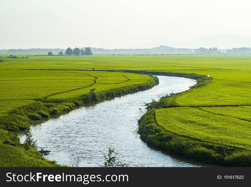 Grassland, Field, Water Resources, Plain