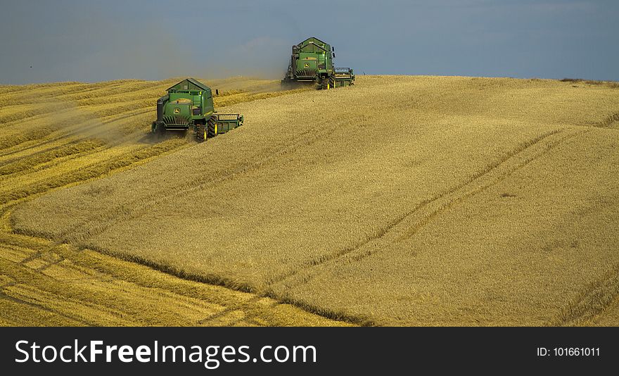 Agriculture, Cereal, Country, Countryside