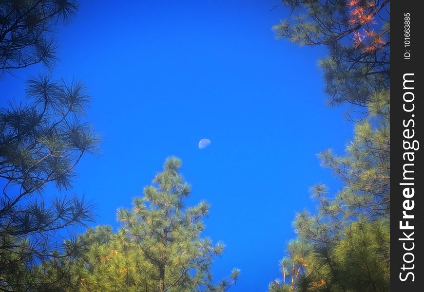 An Arizona Framed Moon