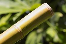 Bamboo Stick. Royalty Free Stock Photo