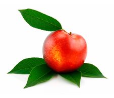 Ripe Peach (Nectarine) With Green Leafs Isolated Stock Photo Ripe Peach (Nectarine) With Green Leafs Isolated Stock Photo