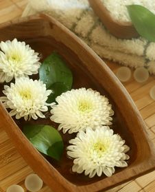 White Flowers Floating In Wooden Bowl Royalty Free Stock Photography