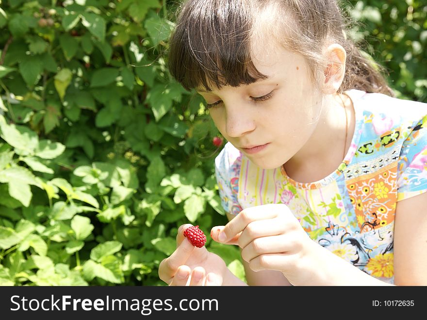 Beautiful girl collects gardening raspberries. Beautiful girl collects gardening raspberries