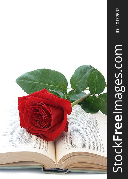 Rose of red color on pages of the book with verses.