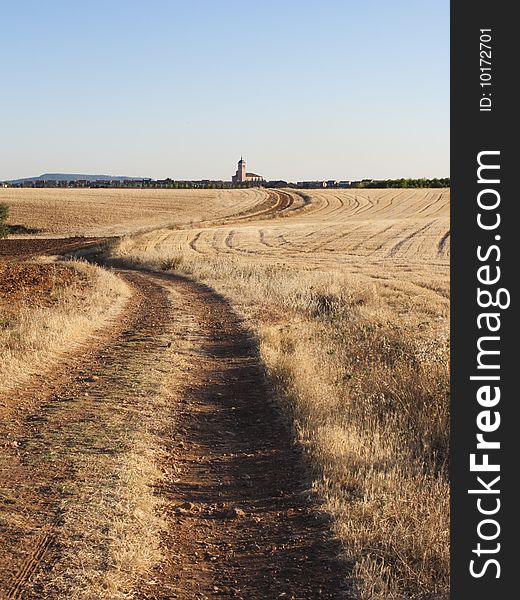 Picture of a summer landscape with great sun and blue sky