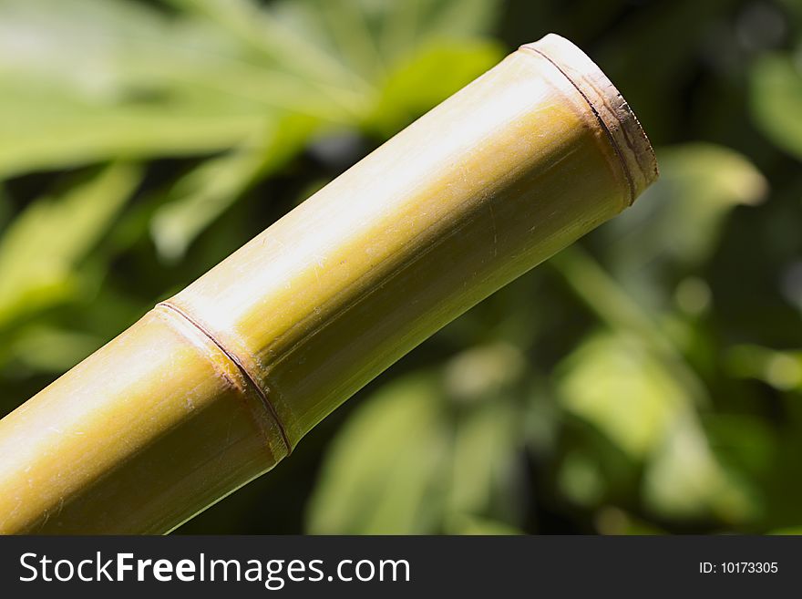 A bamboo stick closeup on green background. A bamboo stick closeup on green background.