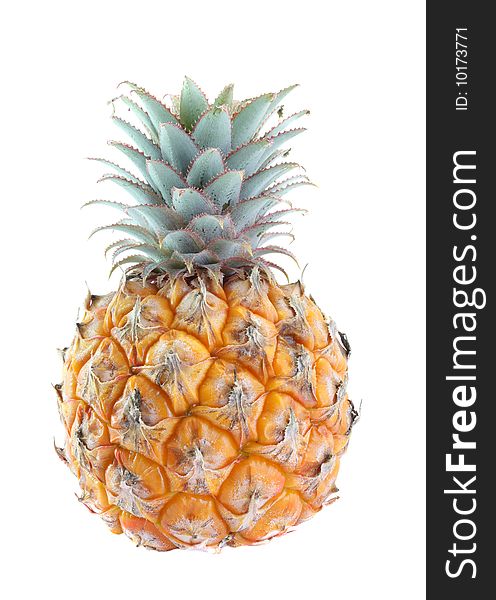 Small round pineapple on a white background, is isolated.