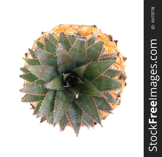 Small round pineapple on a white background, is isolated.